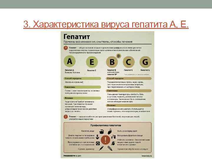 3. Характеристика вируса гепатита А, Е. 