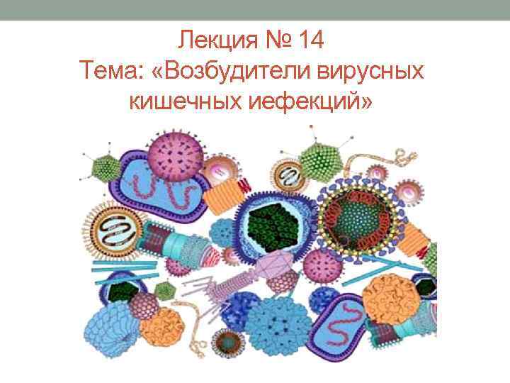 Лекция № 14 Тема: «Возбудители вирусных кишечных иефекций» 