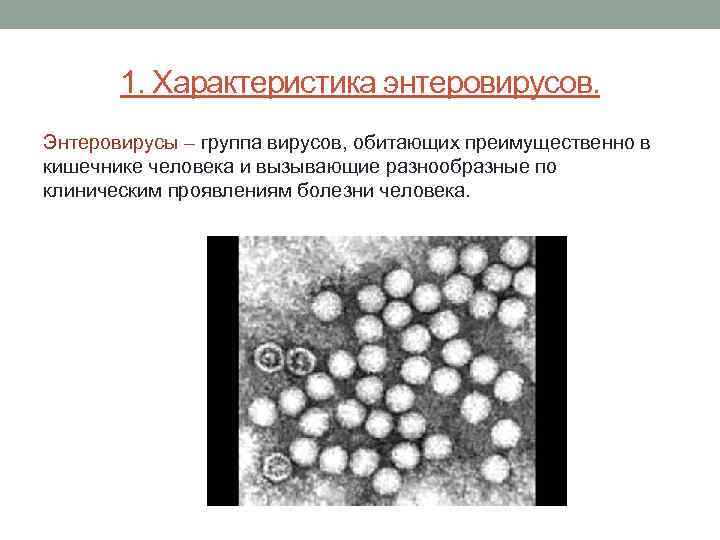 1. Характеристика энтеровирусов. Энтеровирусы – группа вирусов, обитающих преимущественно в кишечнике человека и вызывающие