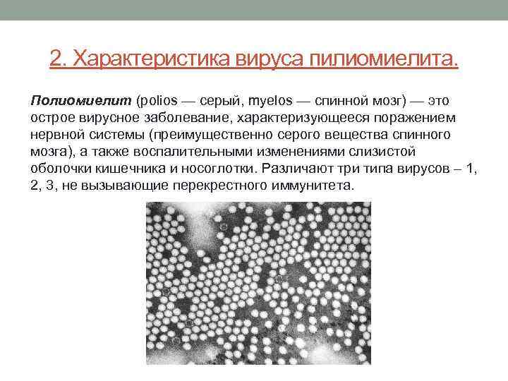 2. Характеристика вируса пилиомиелита. Полиомиелит (polios — серый, myelos — спинной мозг) — это