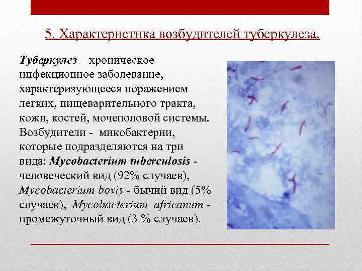 5. Характеристика возбудителей туберкулеза. Туберкулез – хроническое инфекционное заболевание, характеризующееся поражением легких, пищеварительного тракта,