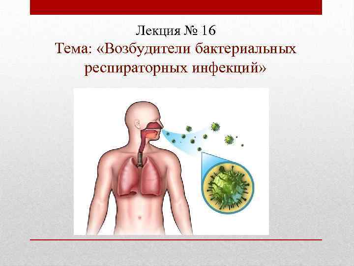 Лекция № 16 Тема: «Возбудители бактериальных респираторных инфекций» 