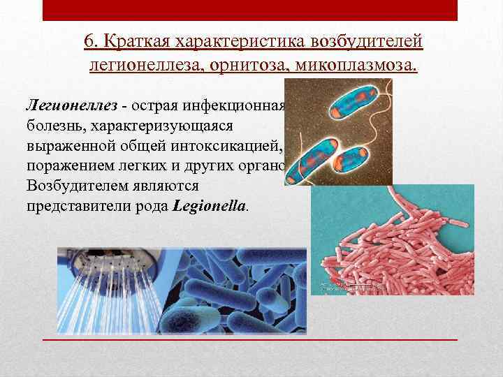 6. Краткая характеристика возбудителей легионеллеза, орнитоза, микоплазмоза. Легионеллез - острая инфекционная болезнь, характеризующаяся выраженной