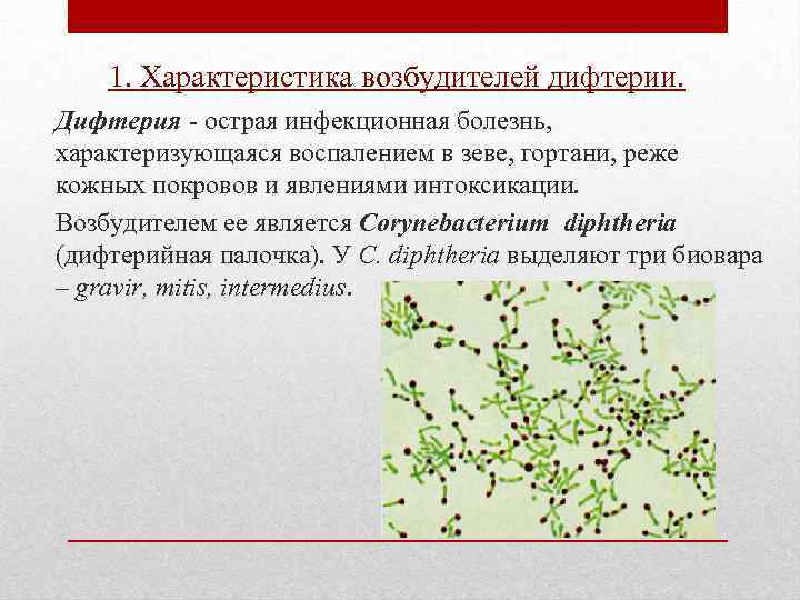 1. Характеристика возбудителей дифтерии. Дифтерия - острая инфекционная болезнь, характеризующаяся воспалением в зеве, гортани,