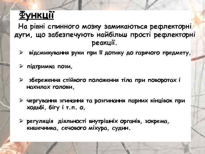 Функції На рівні спинного мозку замикаються рефлекторні дуги, що забезпечують найбільш прості рефлекторні реакції.
