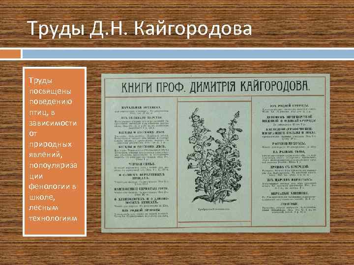 Труды Д. Н. Кайгородова Труды посвящены поведению птиц, в зависимости от природных явлений, попоуляриза