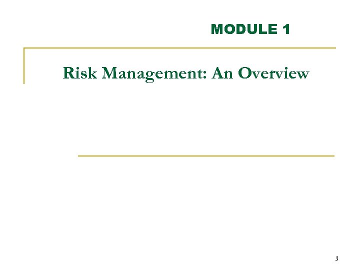MODULE 1 Risk Management: An Overview 3 