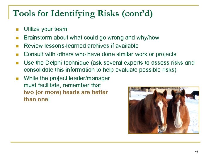 Tools for Identifying Risks (cont’d) n n n Utilize your team Brainstorm about what