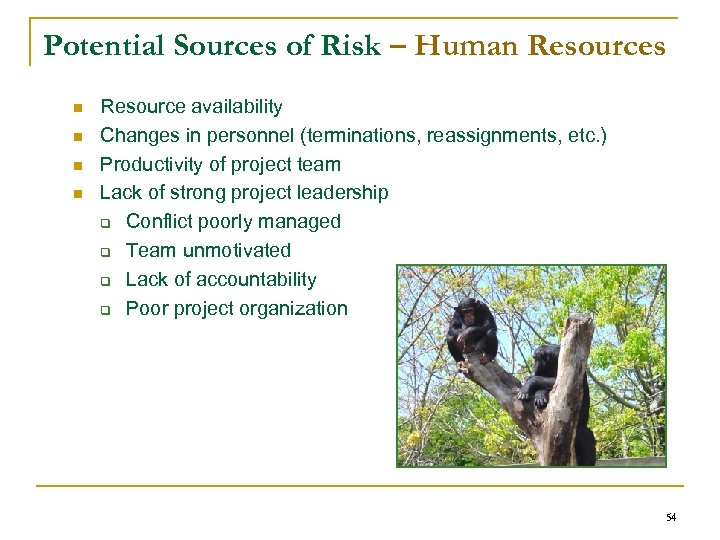 Potential Sources of Risk – Human Resources n n Resource availability Changes in personnel