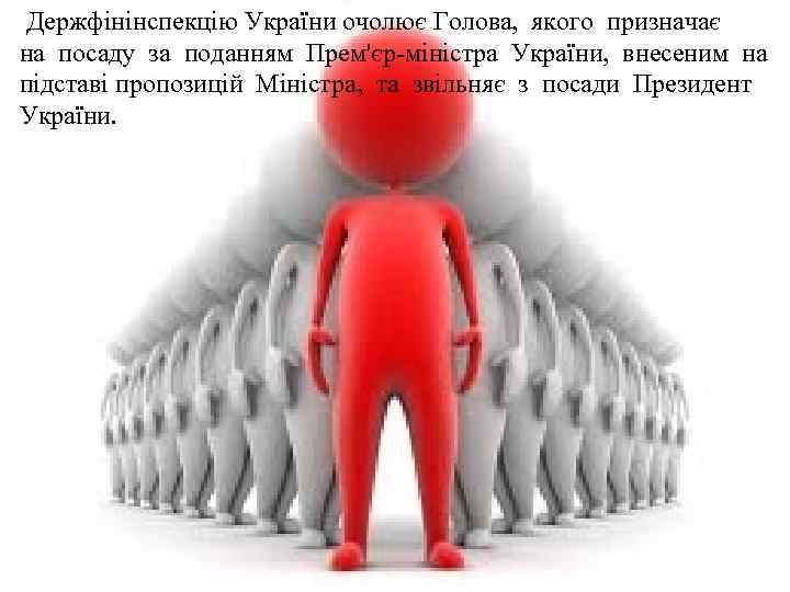  Держфінінспекцію України очолює Голова, якого призначає на посаду за поданням Прем'єр-міністра України, внесеним