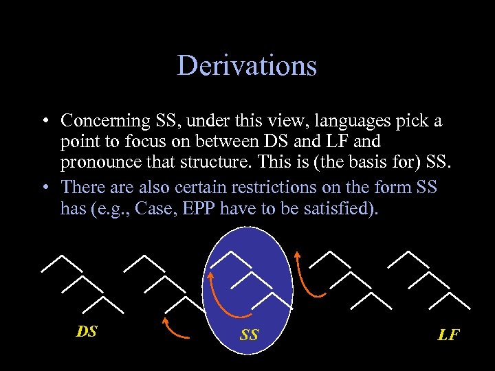 Derivations • Concerning SS, under this view, languages pick a point to focus on