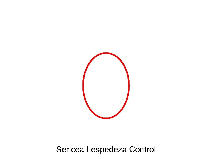 Sericea Lespedeza Control 