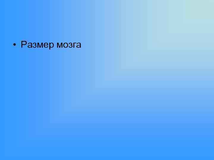  • Размер мозга 