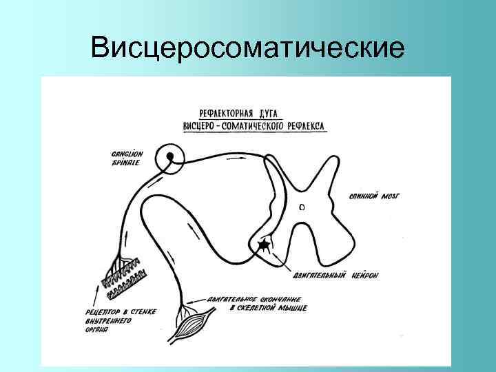 Висцеросоматические 