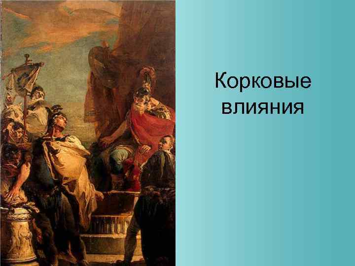 Корковые влияния 