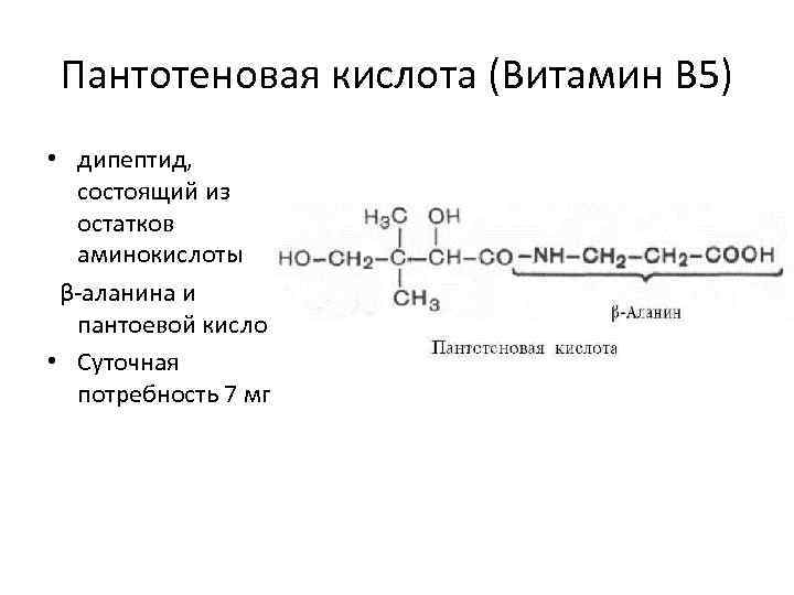 Состоит из аминокислотных остатков