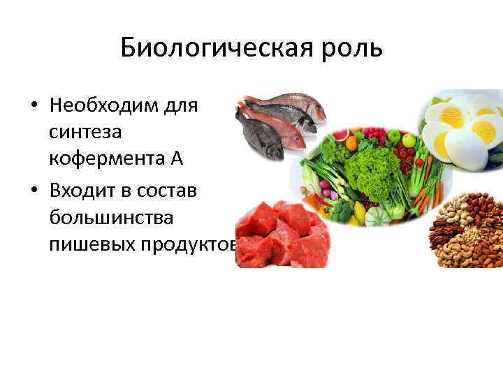 Биологическая роль • Необходим для синтеза кофермента А • Входит в состав большинства пишевых