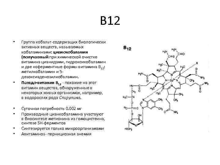 В 12 • • • Группа кобальт-содержащих биологически активных веществ, называемых кобаламинами: цианокобаламин (получаемый