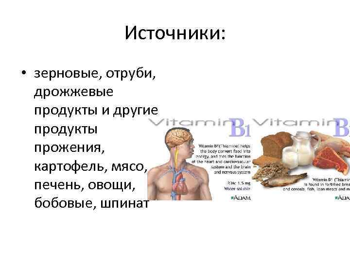 Источники: • зерновые, отруби, дрожжевые продукты и другие продукты прожения, картофель, мясо, печень, овощи,