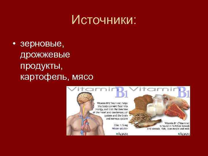 Источники: • зерновые, дрожжевые продукты, картофель, мясо 