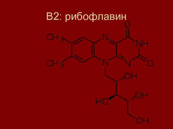 В 2: рибофлавин 