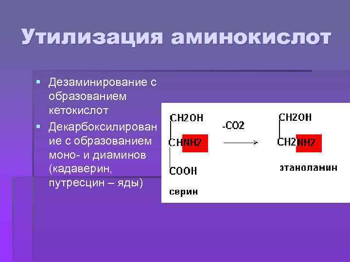 Утилизация аминокислот § Дезаминирование с образованием кетокислот § Декарбоксилирован ие с образованием моно- и