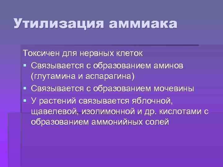 Утилизация аммиака Токсичен для нервных клеток § Связывается с образованием аминов (глутамина и аспарагина)