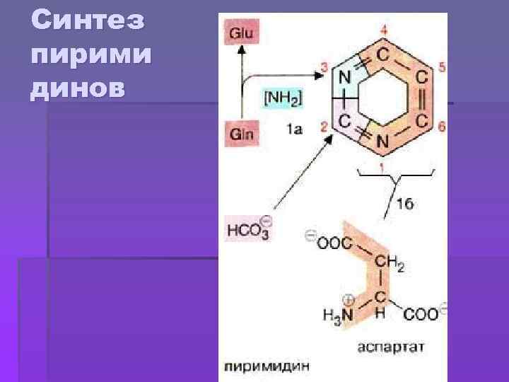 Синтез пирими динов 