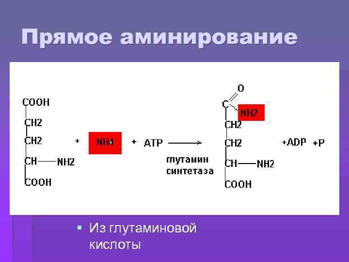 Прямое аминирование § Из глутаминовой кислоты 