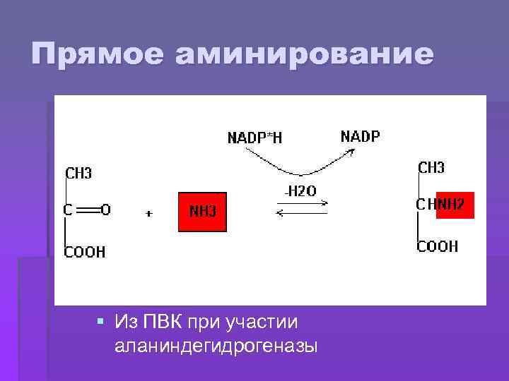 Прямое аминирование § Из ПВК при участии аланиндегидрогеназы 