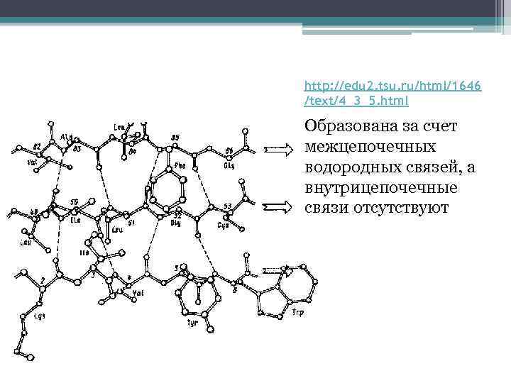 http: //edu 2. tsu. ru/html/1646 /text/4_3_5. html Образована за счет межцепочечных водородных связей, а