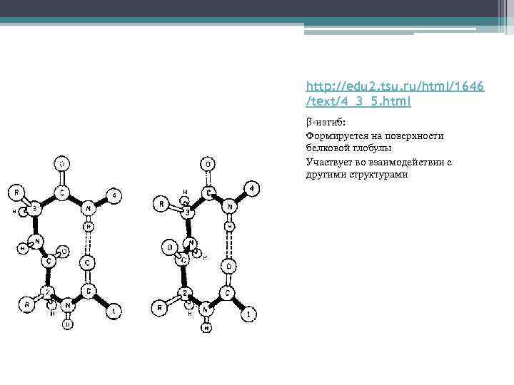http: //edu 2. tsu. ru/html/1646 /text/4_3_5. html β-изгиб: Формируется на поверхности белковой глобулы Участвует