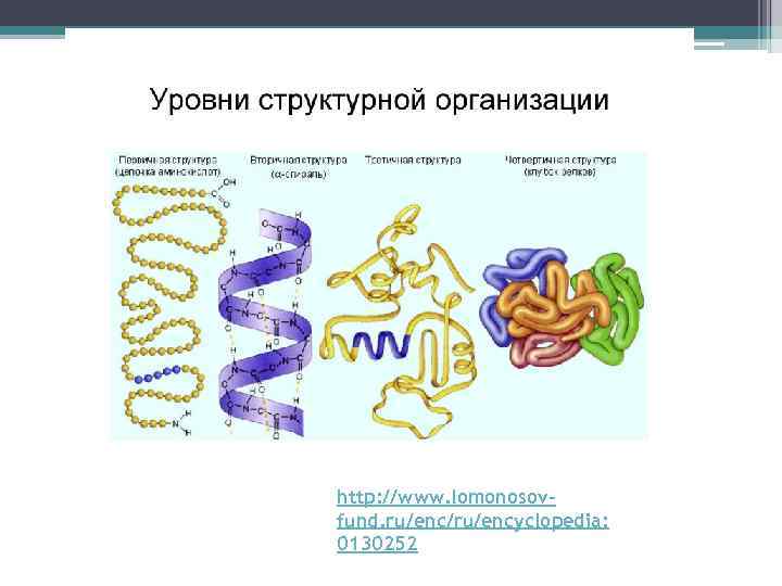 http: //www. lomonosovfund. ru/enc/ru/encyclopedia: 0130252 