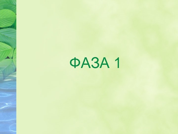ФАЗА 1 