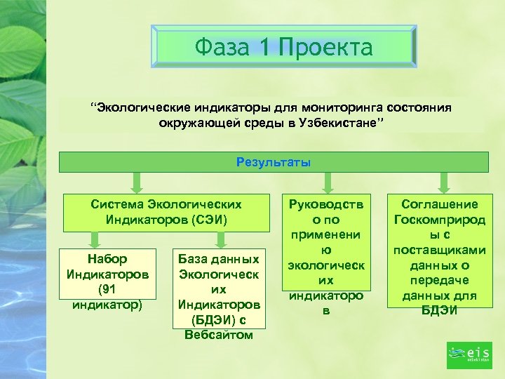 Информационная экология проект