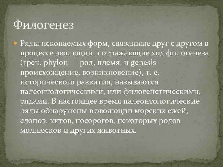 Филогенез Ряды ископаемых форм, связанные друг с другом в процессе эволюции и отражающие ход