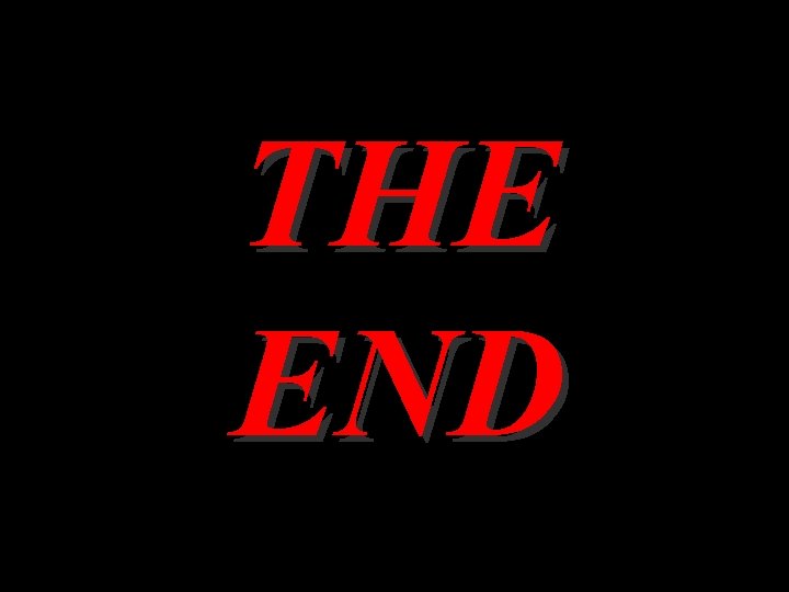 THE END 