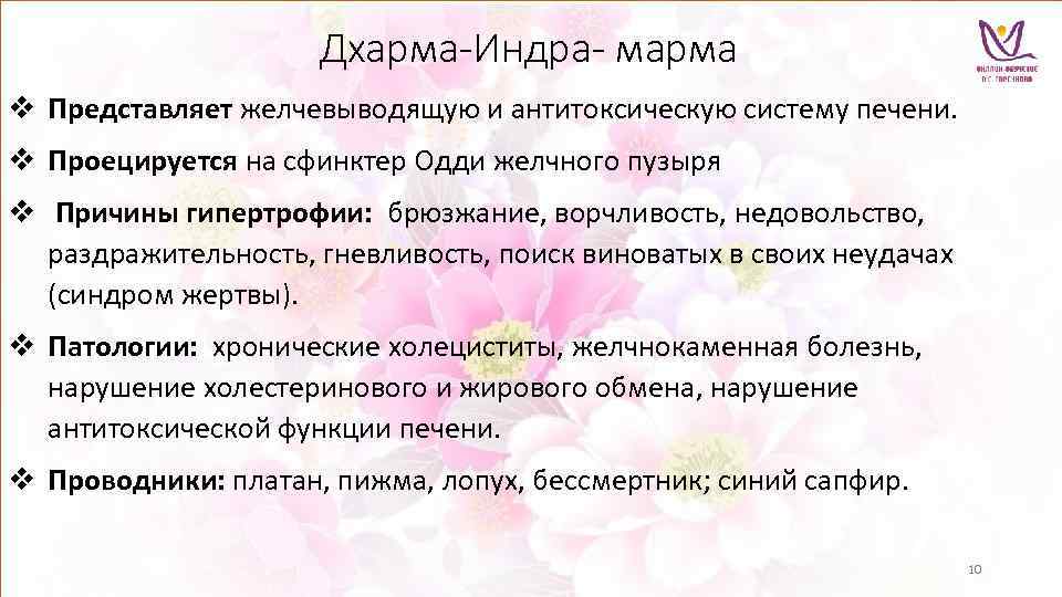 Дхарма-Индра- марма v Представляет желчевыводящую и антитоксическую систему печени. v Проецируется на сфинктер Одди