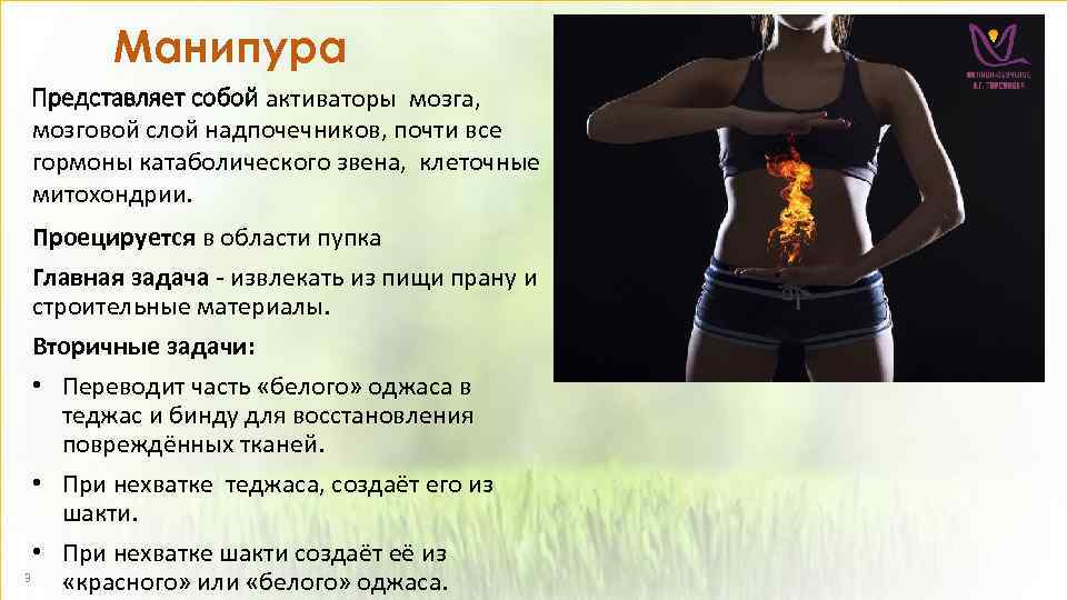 Манипура Представляет собой активаторы мозга, мозговой слой надпочечников, почти все гормоны катаболического звена, клеточные