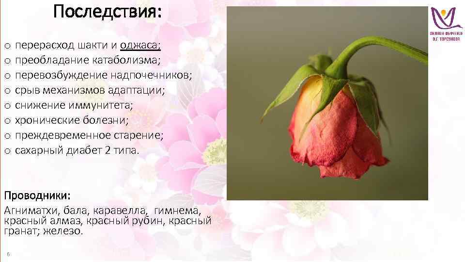 Последствия: o перерасход шакти и оджаса; o преобладание катаболизма; o перевозбуждение надпочечников; o срыв