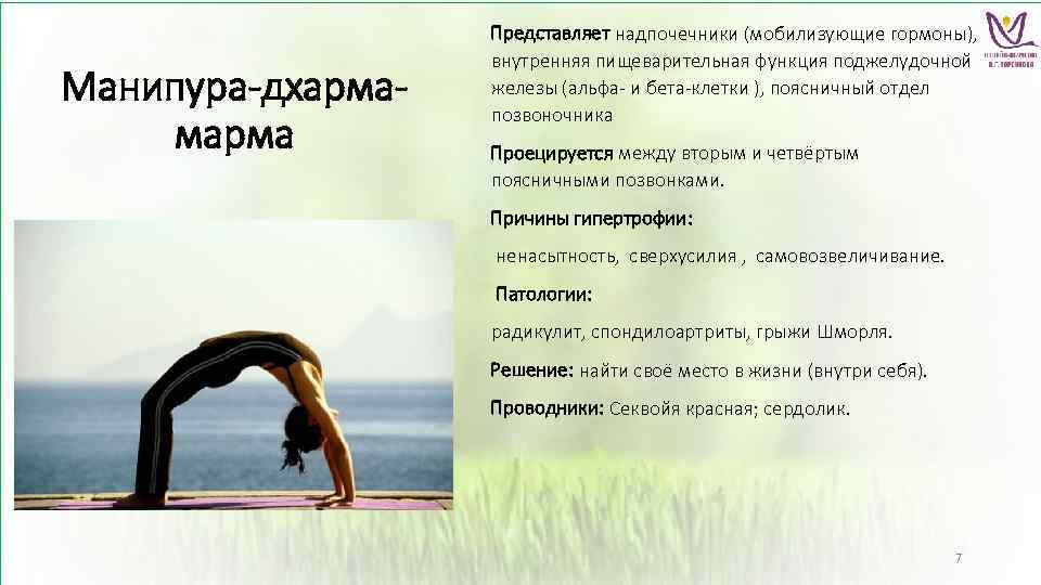 Манипура-дхармамарма Представляет надпочечники (мобилизующие гормоны), внутренняя пищеварительная функция поджелудочной железы (альфа- и бета-клетки ),