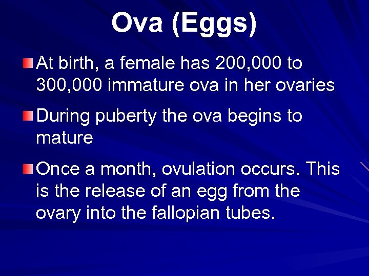 Ova (Eggs) At birth, a female has 200, 000 to 300, 000 immature ova