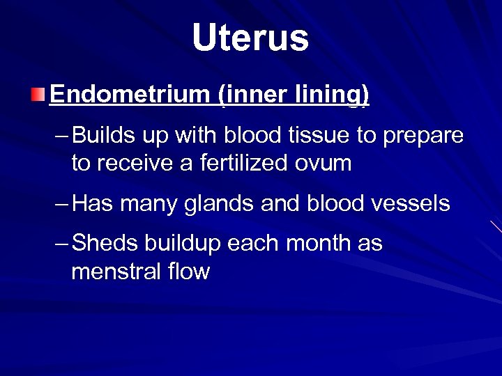 Uterus Endometrium (inner lining) – Builds up with blood tissue to prepare to receive