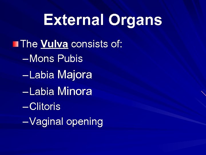 External Organs The Vulva consists of: – Mons Pubis – Labia Majora – Labia