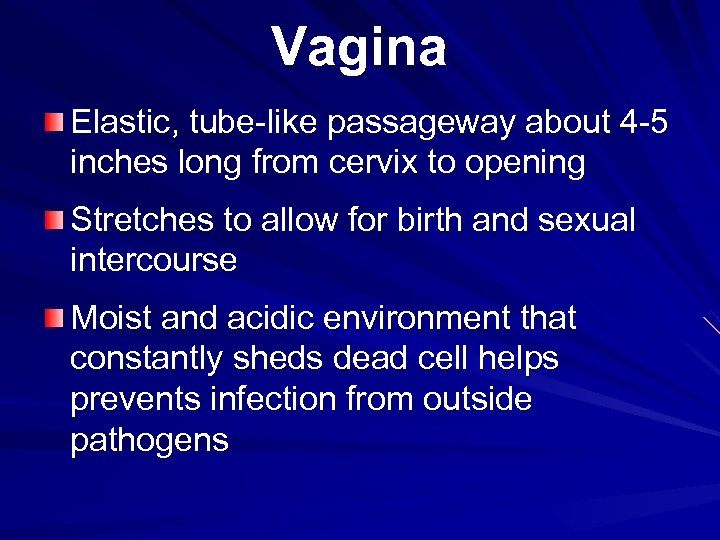 Vagina Elastic, tube-like passageway about 4 -5 inches long from cervix to opening Stretches
