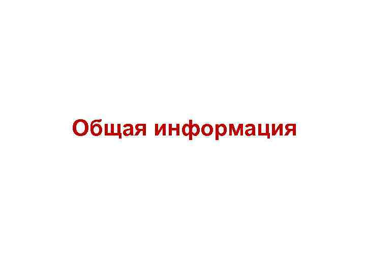 Общая информация 