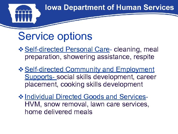 Service options v Self-directed Personal Care- cleaning, meal preparation, showering assistance, respite v Self-directed