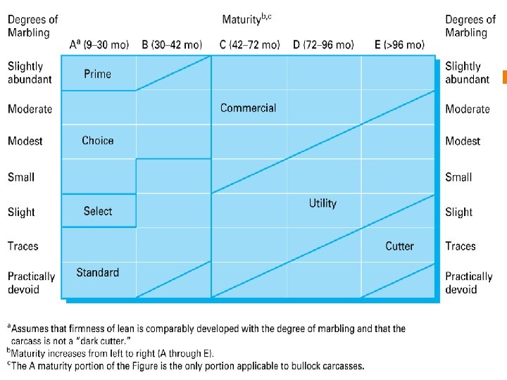 Figure 8. 3 Relationship between marbling, maturity, and carcass quality grade. Source: USDA. 