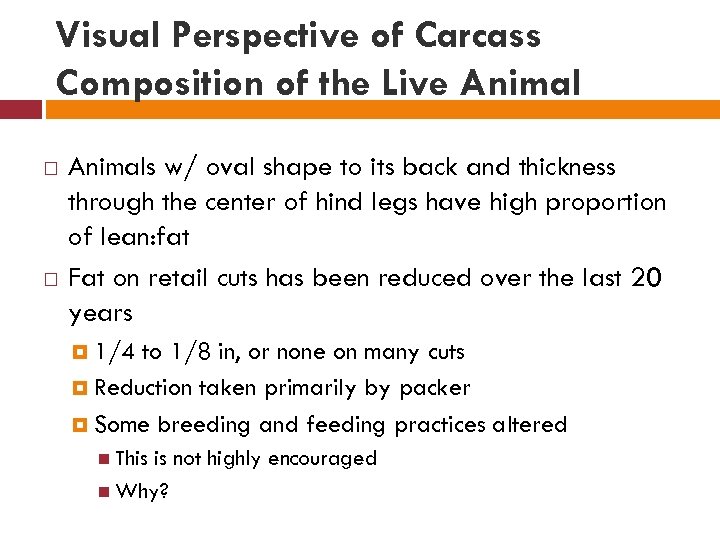 Visual Perspective of Carcass Composition of the Live Animals w/ oval shape to its
