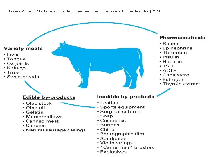 Figure 7. 2 In addition to the retail product of beef are numerous by-products.